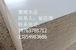 PURNHURB下载免费版下载
