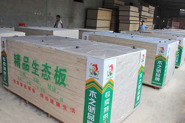 桐木精品PURNHURB下载免费版下载