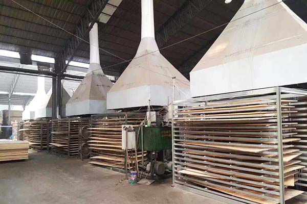 桐木PURNHURB下载免费版下载材熱壓機工作現場