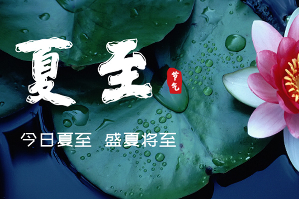 中国P站破解版官网木業 | 盛夏已至,滿目繁華